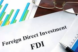 CORPORATE REPORTING FOR FOREIGN DIRECT INVESTMENT COMPANIES